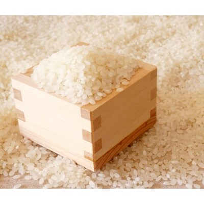【H30年産】山形県村山産はえぬき10kg