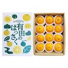 【まごころ手選別】和歌山産　有田の八朔　化粧箱入り(12玉×2箱、L～2Lサイズ)【2026年発送】