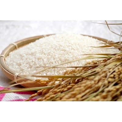 【令和元年】山形県村山産つや姫5kgはえぬき4kg食べ比べセット