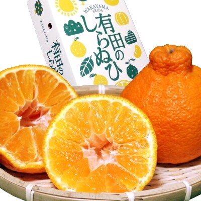 先行予約【まごころ手選別】有田のしらぬひ(デコポン) 化粧箱　Sサイズ 12個入り