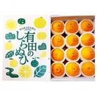 【まごころ手選別】和歌山産　有田の不知火　化粧箱 (12玉×2箱、L～2Lサイズ)
