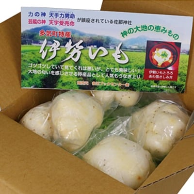 伊勢いも皮むいちゃいました!皮むき済み真空パック800g