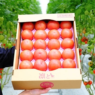 大容量4kg】四万十育ちのトマト「凛と」で毎日笑顔! | 高知県