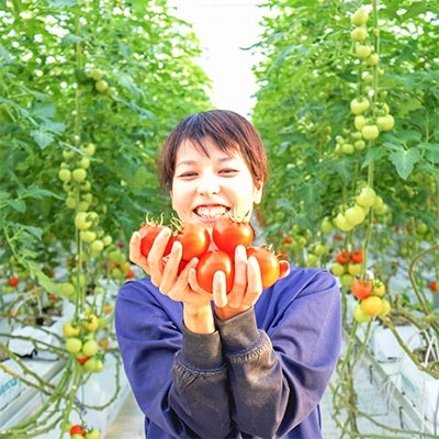 「2021年2月上旬発送」【大容量4kg】四万十育ちのトマト「凛と」で毎日笑顔!