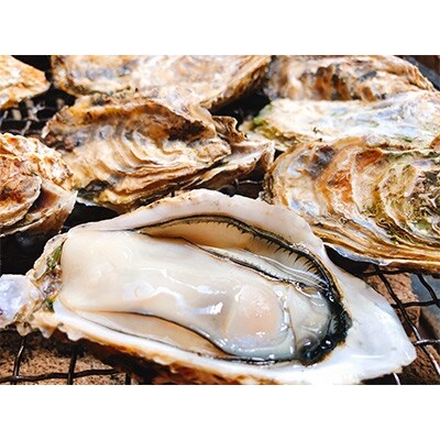 福岡県糸島産・殻付き活・生カキ5kg