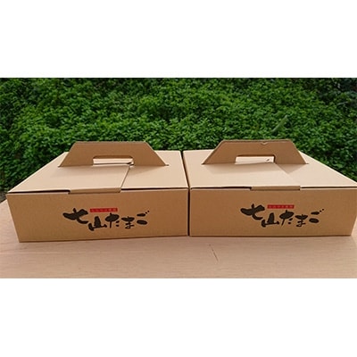 七山たまご20個×2箱(M～L)