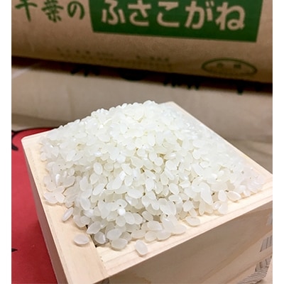 【令和2年産米】勝浦産ふさこがね7Kg