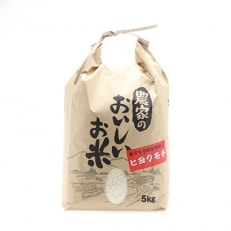 江北町産「ヒヨクモチ」精米5kg