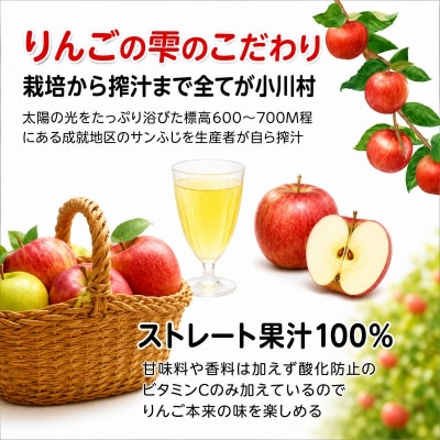 サンふじりんご100%ジュース1L2本*201