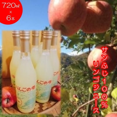 サンふじりんご100%ジュース720ml 6本*309