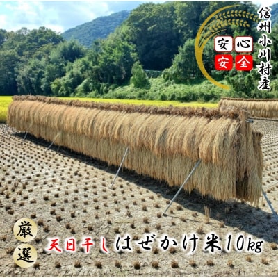 小川村自慢のはぜかけ米10キロ*401