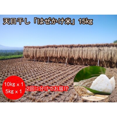 【令和4年産】小川村自慢のはぜかけ米15キロ2回に分けてお届け!*501 | ふるさと納税のお礼品
