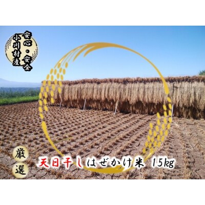 小川村自慢のはぜかけ米15キロ2回に分けてお届け!*501