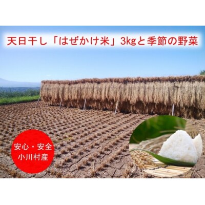 【令和4年産新米事前受付・10月から発送】信州小川村季節の野菜とこだわりのお米セット*302