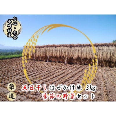 信州小川村季節の野菜とこだわりのお米セット*302