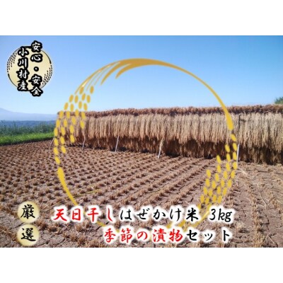 信州小川村自慢のはぜかけ米と季節の漬物セット*306