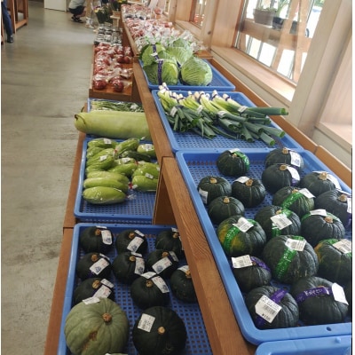 さんさん市場　やさい名人がチョイスする新鮮季節の野菜セット*301