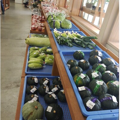 さんさん市場　やさい名人がチョイスする新鮮季節の野菜2回セット*408