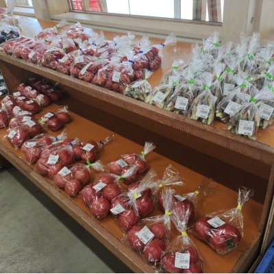 さんさん市場　やさい名人がチョイスする新鮮季節の野菜2回セット*408