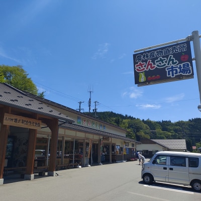 さんさん市場　やさい名人がチョイスする新鮮季節の野菜2回セット*408