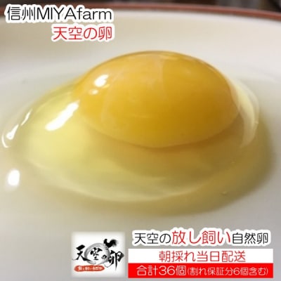 信州MIYAFARM「天空の卵」放し飼い自然卵30個+6個*381