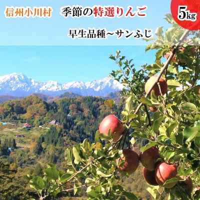 信州小川村成就地区限定季節の特選りんご5キロ(早生品種りんご～サンふじりんご)*311