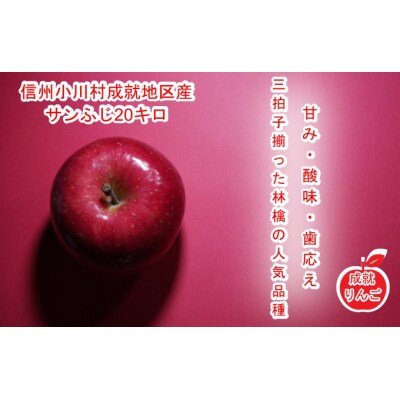 信州成就地区限定 サンふじりんご限定20キロ 10キロ×2箱*603