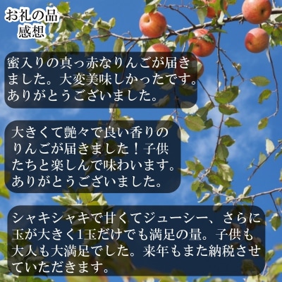 信州成就地区限定　サンふじりんご限定10キロ*411