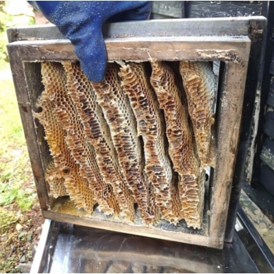 国産日本ミツバチ熟成はちみつ　百花蜂蜜210g*392