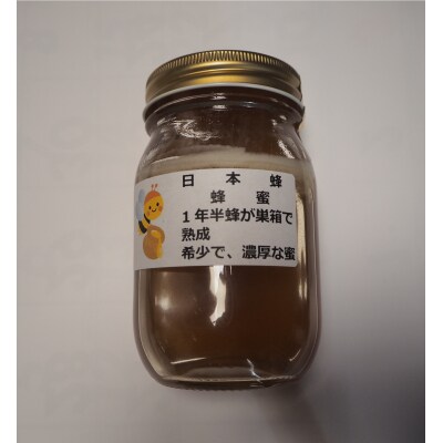 日本ミツバチの百花蜜1000g3本