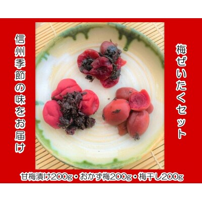 信州季節の味をお届け・梅ぜいたくセット*238