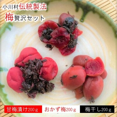 信州季節の味をお届け・梅ぜいたくセット*238