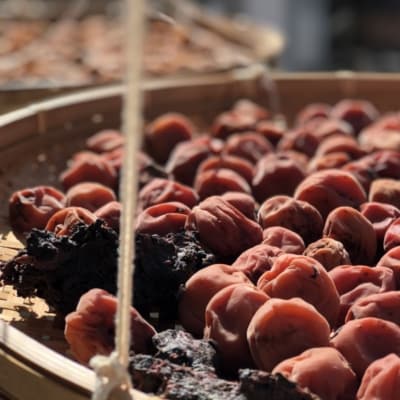 信州季節の味をお届け・梅ぜいたくセット*238