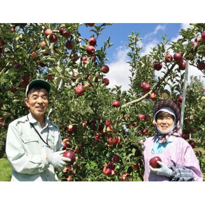 りんご農家応援企画!りんごジュースと季節のリンゴ10キロ*505