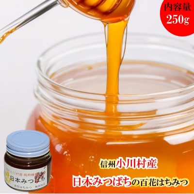 日本みつばち　百花はちみつ250g*254