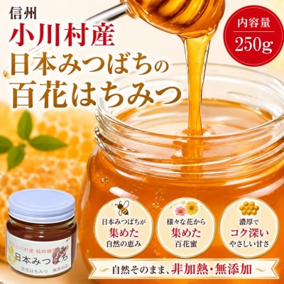 日本みつばち　百花はちみつ250g*254
