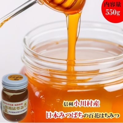 日本みつばち　百花はちみつ550g*255