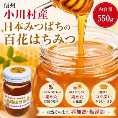 日本みつばち　百花はちみつ550g*255