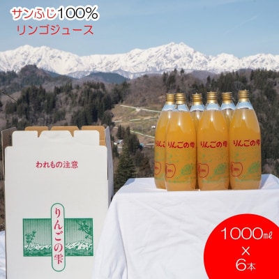 サンふじりんご100%ジュース1L6本*258
