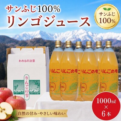 サンふじりんご100%ジュース1L6本*258