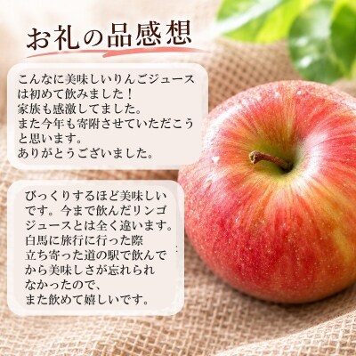 サンふじりんご100%ジュース1L6本*258