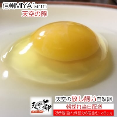 信州MIYAFARM「天空の卵」放し飼い自然卵　6ヶ月定期便*382