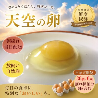 信州MIYAFARM「天空の卵」放し飼い自然卵　6ヶ月定期便*382