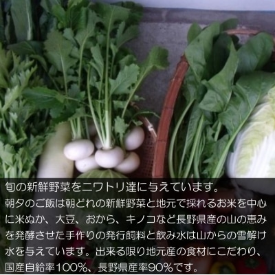 信州MIYAFARM「天空の卵」放し飼い自然卵　6ヶ月定期便*382