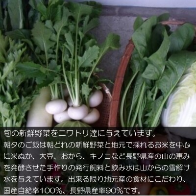 信州MIYAFARM「天空の卵」放し飼い自然卵　6ヶ月定期便*382