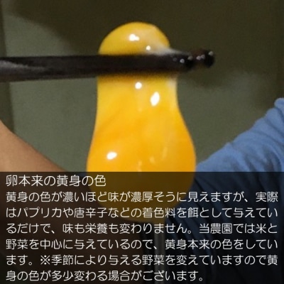 信州MIYAFARM「天空の卵」放し飼い自然卵　6ヶ月定期便*382