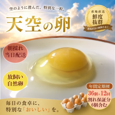 信州MIYAFARM「天空の卵」放し飼い自然卵　12ヶ月定期便*383