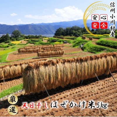 小川村自慢のはぜかけ米5キロ*365