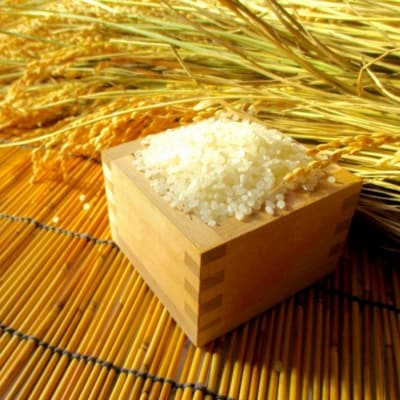 小川村自慢のはぜかけ米5キロ*365