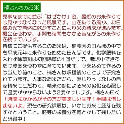 小川村自慢のはぜかけ米5キロ*365
